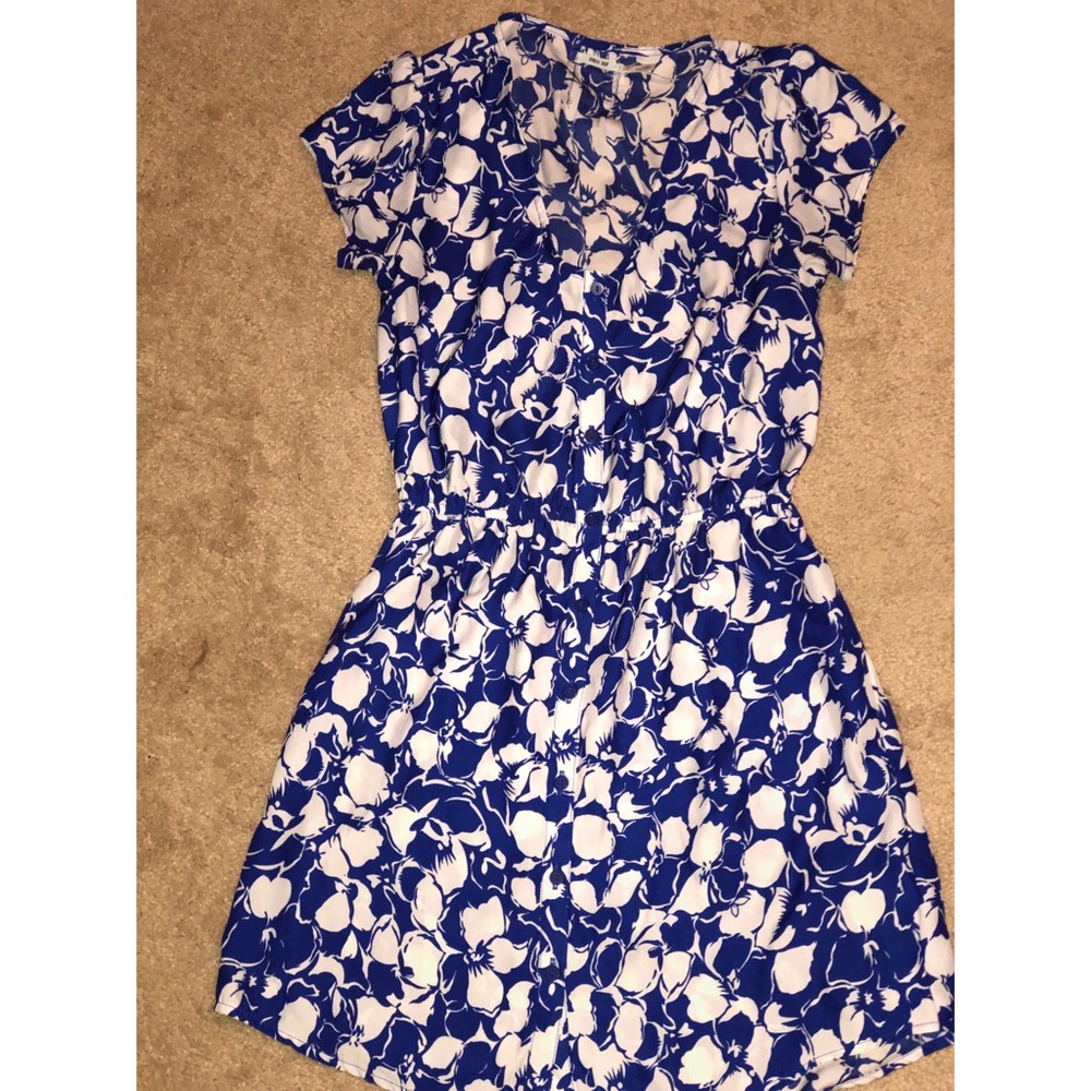 Urban Outfitters blue and white sundress.